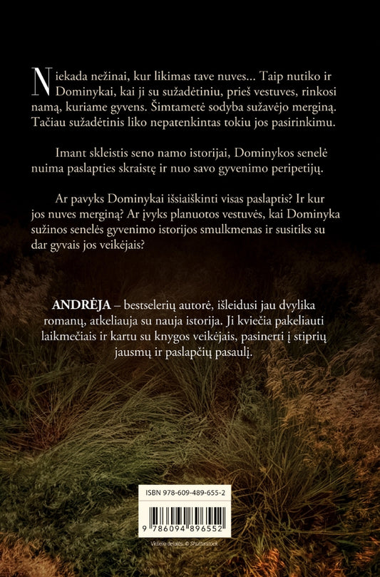 Aš lauksiu tavęs