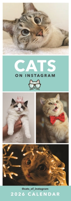 Book cover of: Cats On Instagram Slim Calendar 2026