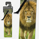 Book cover of: 3D Bookmarks - African Lion