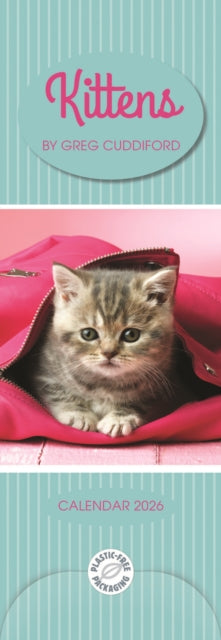 Book cover of: Kittens By Greg Cuddiford Slim Calendar