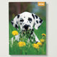 Book ISBN 5056823004843