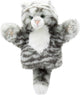 Book cover of: Tabby Cat