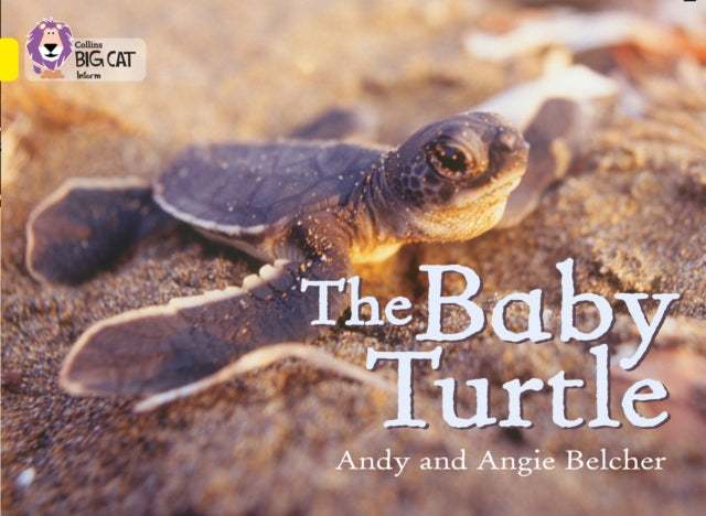 Baby Turtle, Band 03/Yellow 9780007186594 Andy Belcher