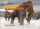 Book cover of: Animal Ancestors. By: Jon Hughes