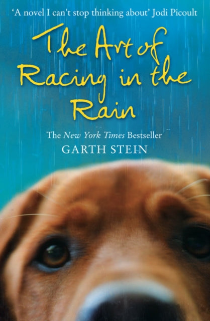 Book cover of: Art of Racing in the Rain. By: Garth Stein
