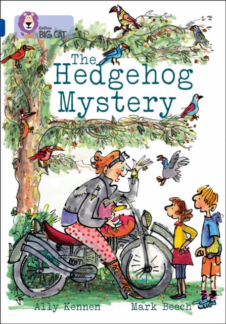 Book cover of: Hedgehog Mystery. By: Ally Kennen