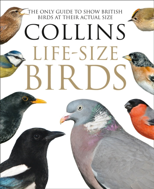 Book cover of: Collins Life-Size Birds. By: Paul Sterry