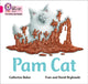 Book cover of: Pam Cat. By: Catherine Baker