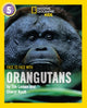 Book cover of: Face to Face with Orangutans. By: Tim Laman