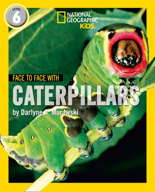 Book cover of: Face to Face with Caterpillars. By: Darlyne A. Murawski