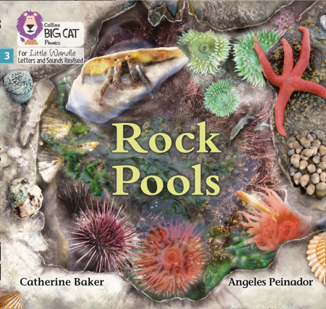 Book cover of: Rock Pools. By: Catherine Baker
