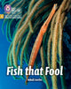 Book cover of: Fish that Fool. By: Collins Big Cat