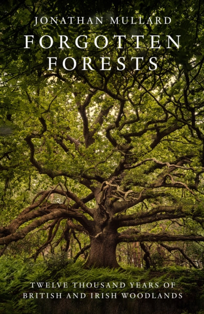 Forgotten Forests, Twelve Thousand Years of British and Irish Woodlands 9780008561048 Jonathan Mullard