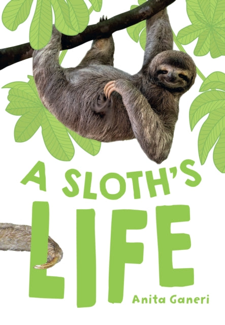 Book cover of: Sloth's Life. By: Collins Big Cat