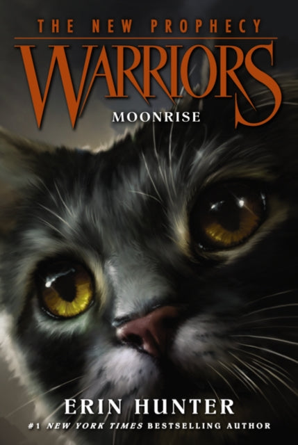 Book cover of: Moonrise