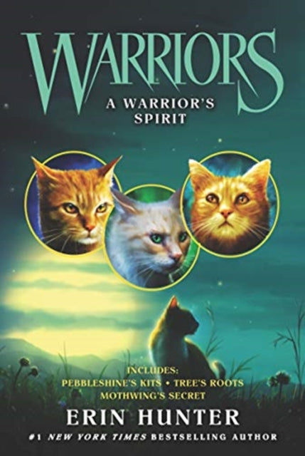 Book cover of: Warriors: A Warrior’s Spirit
