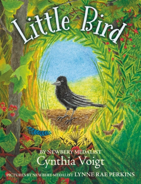 Book cover of: Little Bird. By: Cynthia Voigt