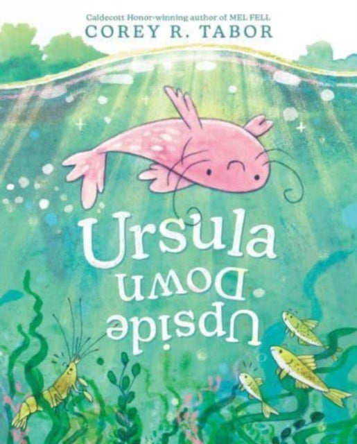 Book cover of: Ursula Upside Down. By: Corey R. Tabor