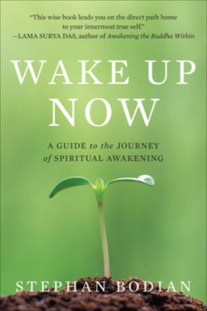 Book cover of: Wake Up Now. By: Stephan Bodian
