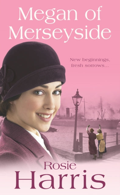 Book cover of: Megan of Merseyside. By: Rosie Harris