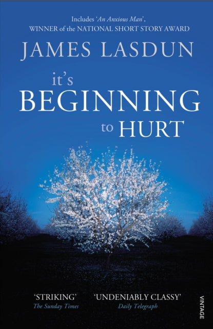 Book cover of: It's Beginning To Hurt. By: James Lasdun