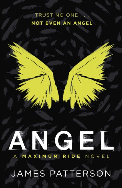 Book cover of: Angel: A Maximum Ride Novel