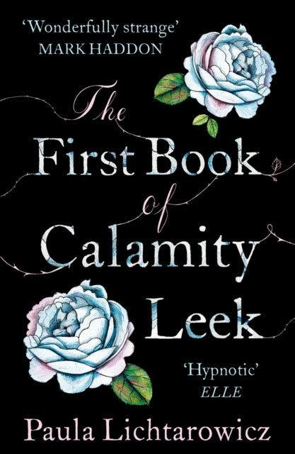 Book cover of: First Book of Calamity Leek. By: Paula Lichtarowicz