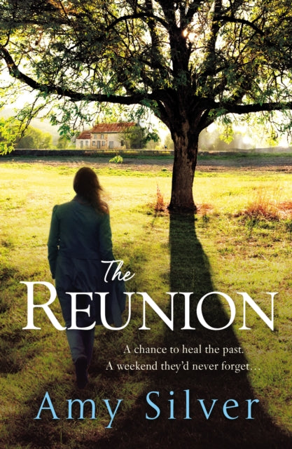 Book cover of: Reunion. By: Amy Silver