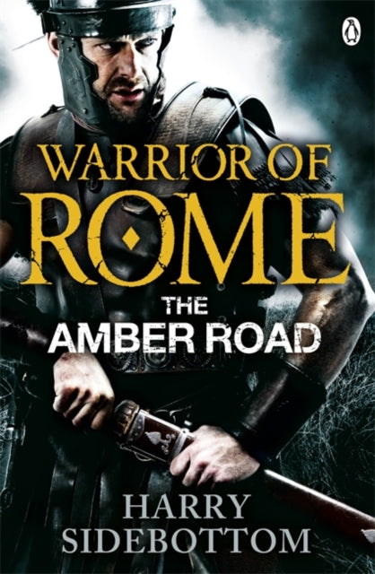 Book cover of: Warrior of Rome VI: The Amber Road