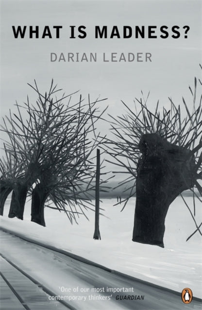 What is Madness? 9780141047355 Darian Leader