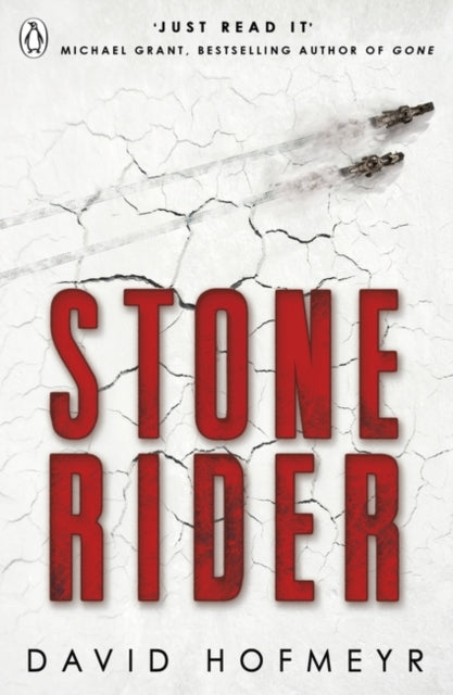 Book cover of: Stone Rider. By: David Hofmeyr