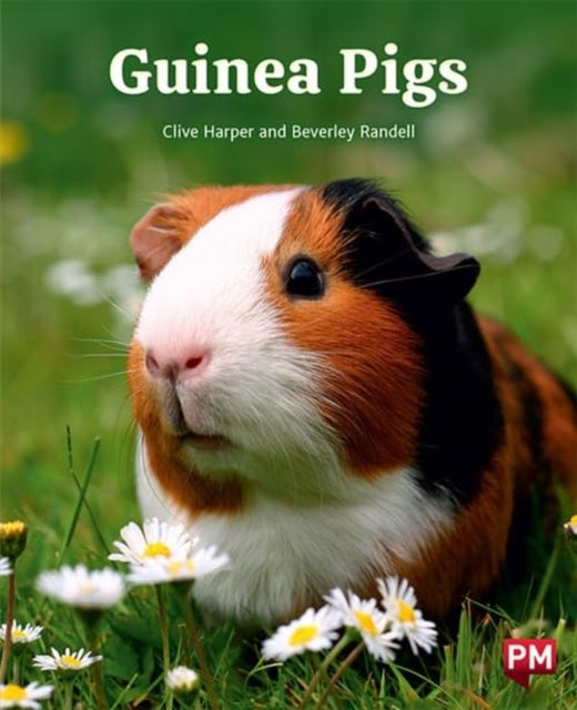 Book cover of: GUINEA PIGS