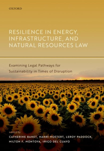 Book cover of: Resilience in Energy, Infrastructure, and Natural Resources Law. By: Catherine Banet