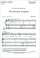 Book cover of: heavenly aeroplane. By: John Rutter