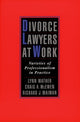Book cover of: Divorce Lawyers at Work