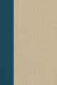 Book cover of: Terrorism Documents of International and Local Control: Volume 88. By: Douglas C. Lovelace Jr