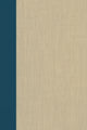 Book cover of: Terrorism Documents of International and Local Control Volume 92. By: Douglas C. Lovelace Jr