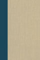 Book cover of: Terrorism Documents of International and Local Control Volumes 97. By: Douglas C. Lovelace Jr.