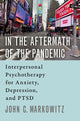 Book cover of: In the Aftermath of the Pandemic. By: John C. Markowitz