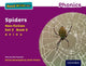 Book cover of: Read Write Inc. Phonics: Spiders (Purple Set 2 Non-fiction 2). By: Gill Munton