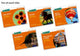 Book cover of: Read Write Inc. Phonics: Orange Set 4 Non-fiction books (Pack of 50). By: Gill Munton