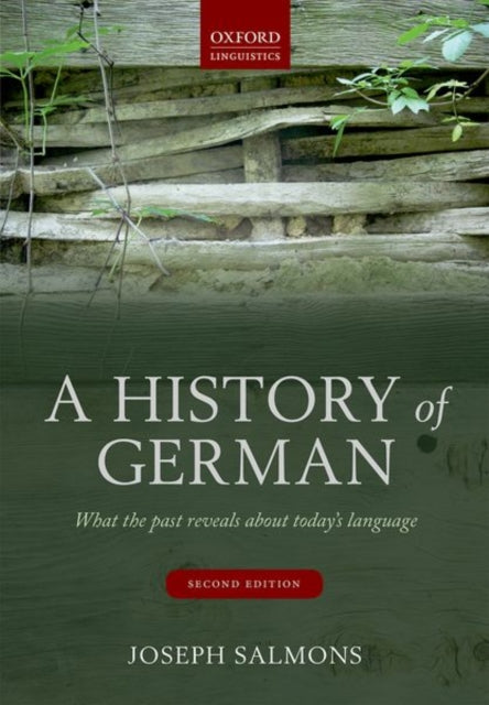 Book cover of: History of German. By: Joseph Salmons