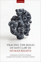 Book cover of: Tracing the Roles of Soft Law in Human Rights