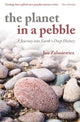 Planet in a Pebble
