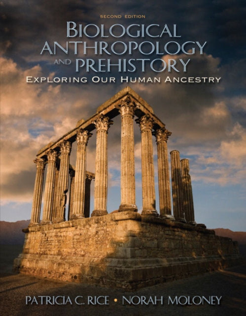 Book cover of: Biological Anthropology and Prehistory. By: Patricia Rice, Patricia C. Rice