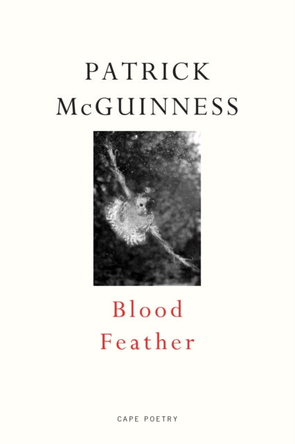 Book cover of: Blood Feather. By: Patrick McGuinness