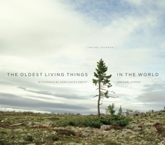 Book cover of: Oldest Living Things in the World