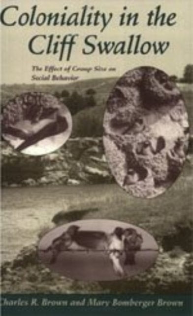 Book cover of: Coloniality in the Cliff Swallow