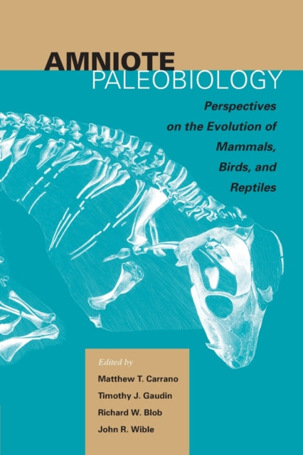 Book cover of: Amniote Paleobiology