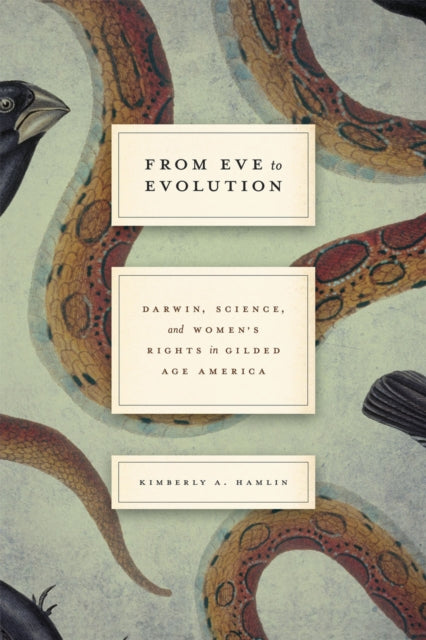 Book cover of: From Eve to Evolution. By: Kimberly A. Hamlin